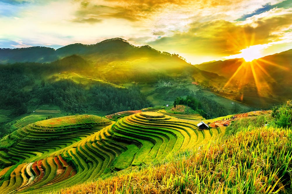 Tu DMC local de confianza en Vietnam y Asia